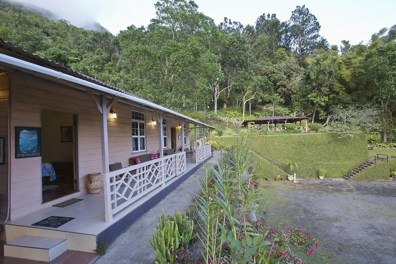 Barbecue Heritage Gardens Cottage - Jm Newcastle Chalet